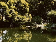 -成都市活水公园