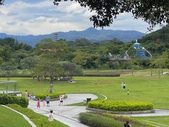 -风云岭森林公园