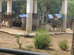 -石家庄市动物园