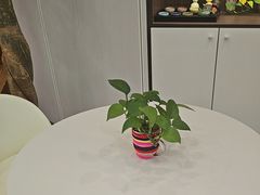 -益康盲人推拿按摩(长虹店)