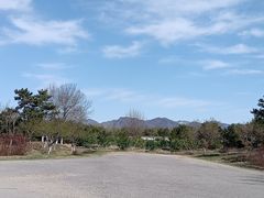 -北京九华山庄会展酒店