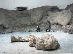 -成都动物园