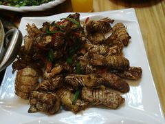 -东海章鱼馆(恒瑞街店)