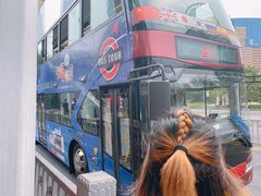 -BUS TOUR观光巴士