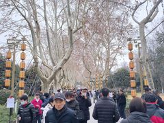 -杭州黄龙洞