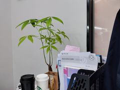 -牙博士口腔品牌连锁(杨浦店)