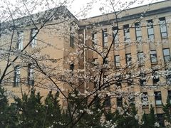 -武汉大学-樱园