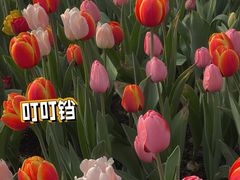 -北京世界公园