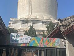 -妙应寺白塔