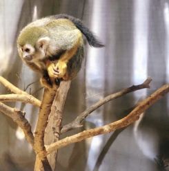 -酷嗒动物文化乐园(cutezoo西溪乐天城店)