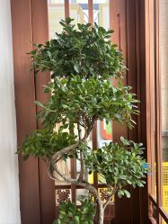 -禾壹净·素颜美问题肌肤修护中心