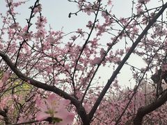 -河北省园博园