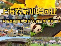 -上海山野camping·户外天幕烧烤·团建拓展营地
