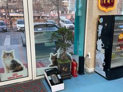 -东日国际动物医院·CT·心脏专科(桃源分院)