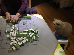 -巴奴毛肚火锅(安阳相州店)