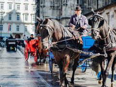 -斯蒂芬主教座堂(Stephansdom)