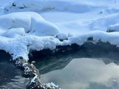 -中旅松花湖滑雪场