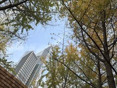 -陆家嘴中心绿地