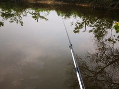 -素山寺森林公园