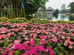-荔湾湖公园