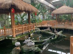 -南宫五洲植物乐园