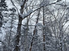 -雪谷