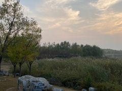 -马家湾湿地公园