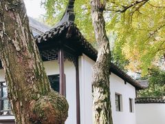 -上海醉白池公园