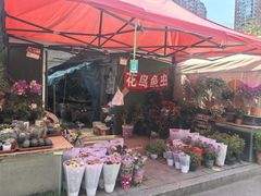 -万达广场(龙湖店)