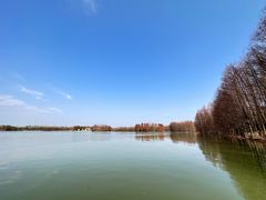 -上海海湾国家森林公园