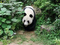 -柳州市动物园