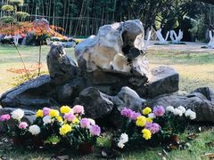 -菊花台公园