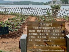 -天目湖山水园