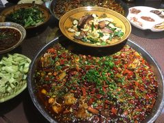 -正宗来凤鱼璧山兔(花卉园店)
