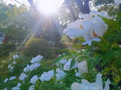 -宝鸡植物园