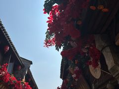 -紫阳古街