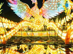 -武汉园博园(武汉自然博物馆)
