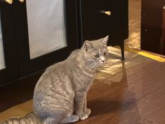 -猫岛主趣味餐厅(鼓浪屿店)