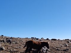 -灵山