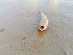 -南戴河国际娱乐中心