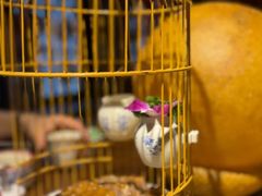 -杨记隆府(重庆总店)