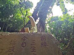 -七仙岭温泉国家森林公园