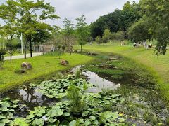 -东莞植物园