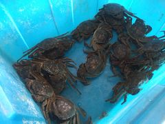 -乡乐园蟹庄·阳澄湖农家乐