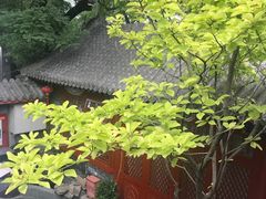 -程府宴-国宴(南长街·四合院店)