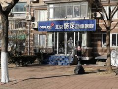 -酷宠动物医院(天通西苑店)