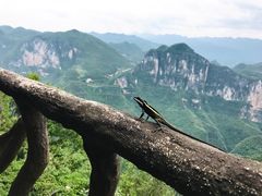 -重庆云阳龙缸景区