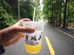 -青城山