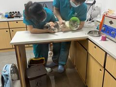 -贝利宠物医院·骨科·眼科·肿瘤转诊中心(南坪诊疗中心)