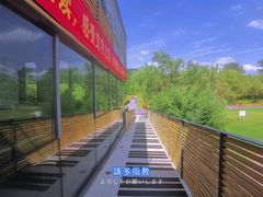 -滨江生态公园